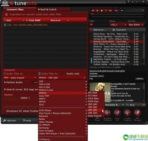 Audials Tunebite 2019.0.10600.0免费版